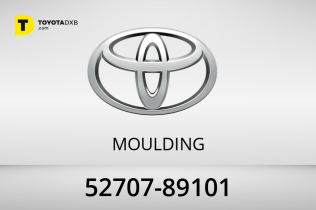Toyota MOULDING