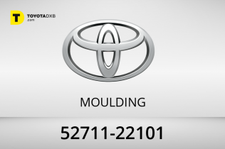 Toyota MOULDING