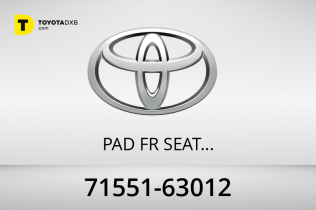 Toyota PAD  FR SEAT BACK
