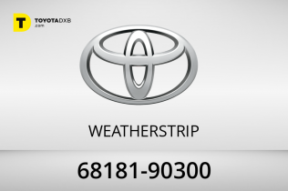 Toyota WEATHERSTRIP Toyota WEATHERSTRIP