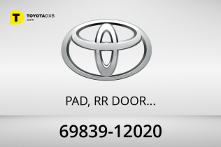 Toyota PAD, RR DOOR WI Toyota PAD, RR DOOR WI