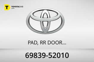 Toyota PAD, RR DOOR WI Toyota PAD, RR DOOR WI