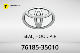 Toyota SEAL, HOOD AIR Toyota SEAL, HOOD AIR