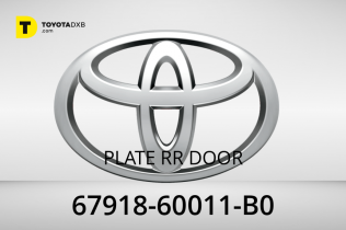 PLATE RR DOOR