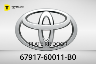 PLATE RR DOOR