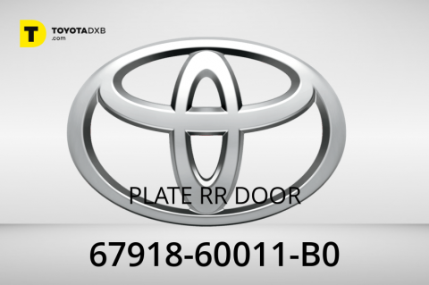 PLATE RR DOOR