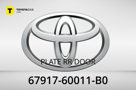 PLATE RR DOOR
